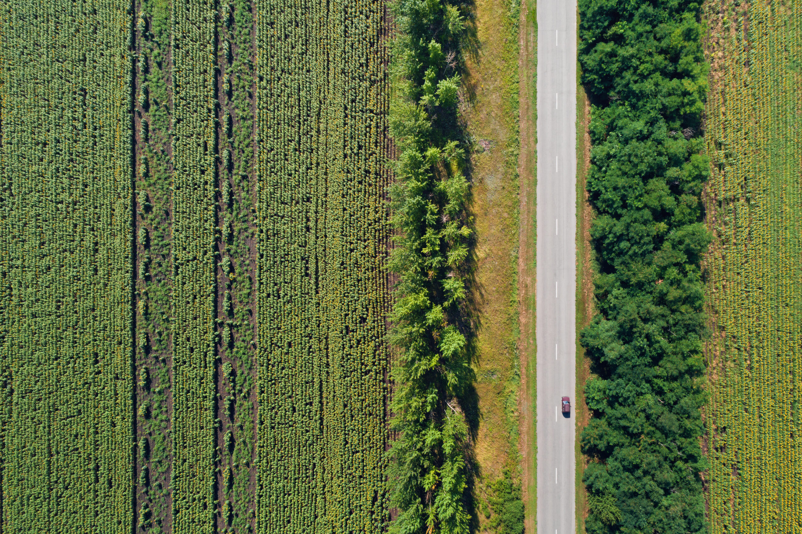 Aerial view of a highway passing through green fields