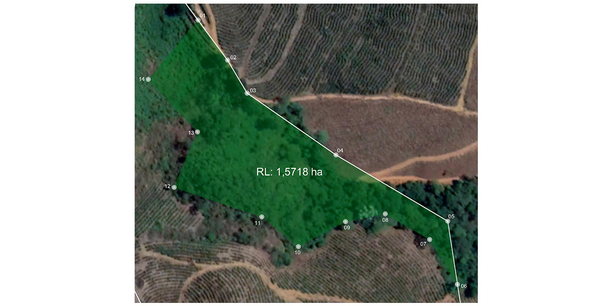 Empresa-de-Laudo-de-Reserva-Legal
