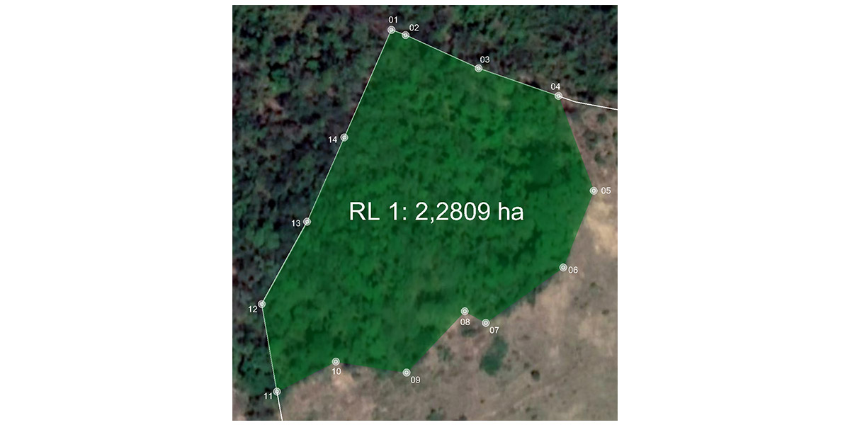 Laudo-de-Reserva-Legal